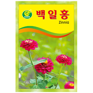백일홍 씨앗 (40립) 꽃씨 키우기 텃밭 야생화 교재용