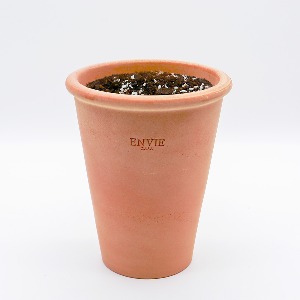 미미네아쿠아 초보자를 위한 식물키우기 화분 DIY세트