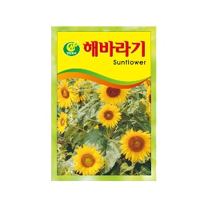 미미네아쿠아 꽃씨 키우기 - 해바라기 씨앗